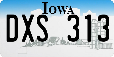 IA license plate DXS313