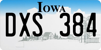 IA license plate DXS384