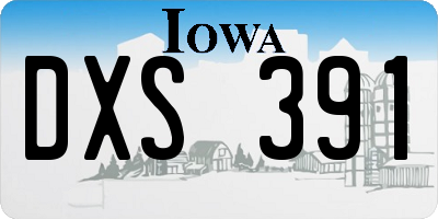 IA license plate DXS391