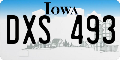 IA license plate DXS493