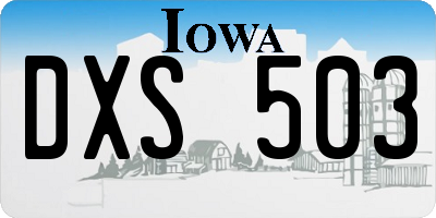 IA license plate DXS503