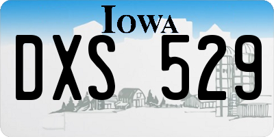 IA license plate DXS529