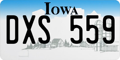 IA license plate DXS559