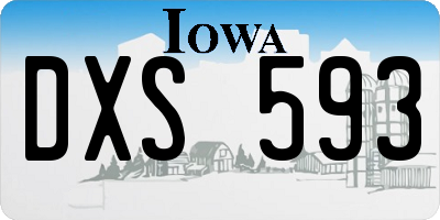 IA license plate DXS593