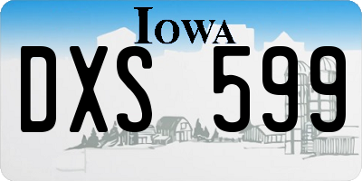 IA license plate DXS599