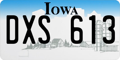IA license plate DXS613