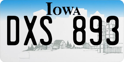 IA license plate DXS893