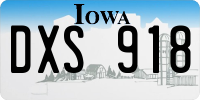 IA license plate DXS918