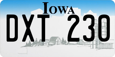 IA license plate DXT230