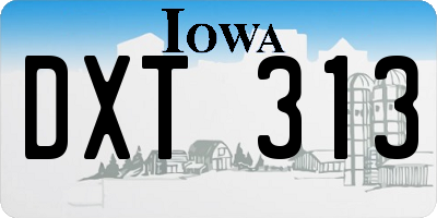 IA license plate DXT313