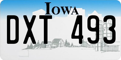 IA license plate DXT493