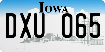 IA license plate DXU065