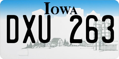 IA license plate DXU263