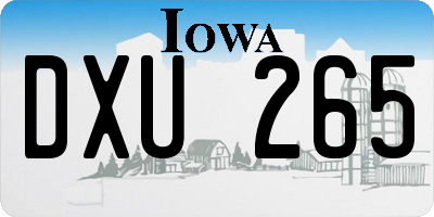 IA license plate DXU265