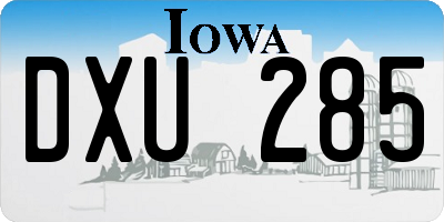 IA license plate DXU285