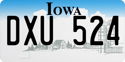 IA license plate DXU524