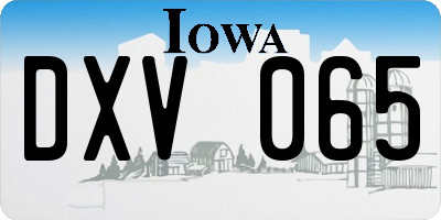 IA license plate DXV065