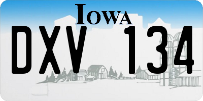 IA license plate DXV134