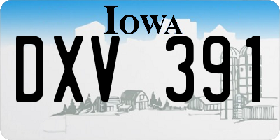 IA license plate DXV391