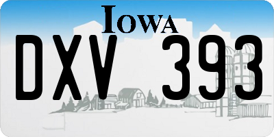 IA license plate DXV393