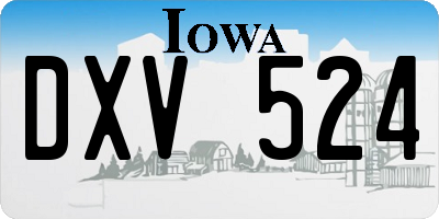 IA license plate DXV524