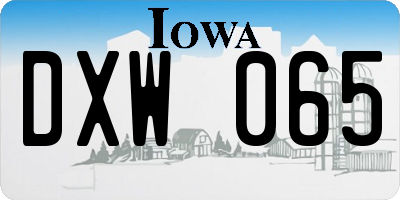 IA license plate DXW065