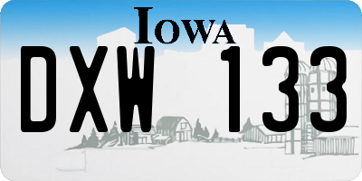 IA license plate DXW133