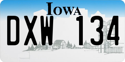 IA license plate DXW134