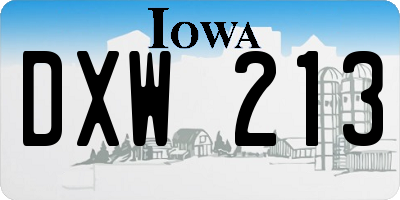 IA license plate DXW213