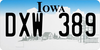 IA license plate DXW389