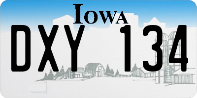 IA license plate DXY134