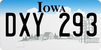 IA license plate DXY293