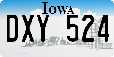 IA license plate DXY524