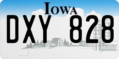 IA license plate DXY828