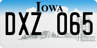 IA license plate DXZ065