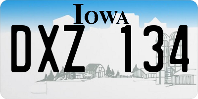 IA license plate DXZ134