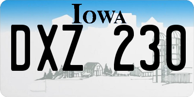 IA license plate DXZ230