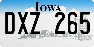 IA license plate DXZ265
