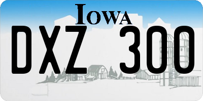 IA license plate DXZ300