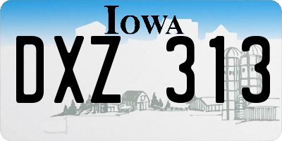 IA license plate DXZ313