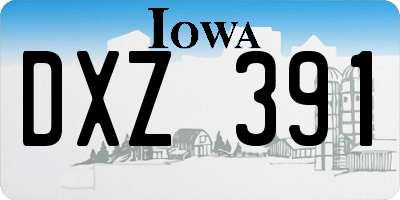 IA license plate DXZ391