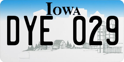 IA license plate DYE029