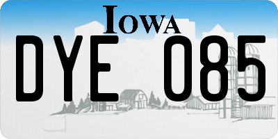 IA license plate DYE085