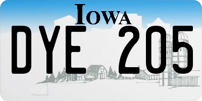 IA license plate DYE205