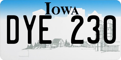 IA license plate DYE230