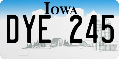 IA license plate DYE245