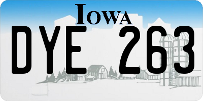 IA license plate DYE263