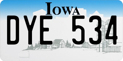 IA license plate DYE534