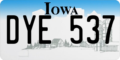 IA license plate DYE537
