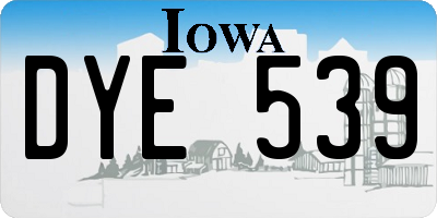 IA license plate DYE539